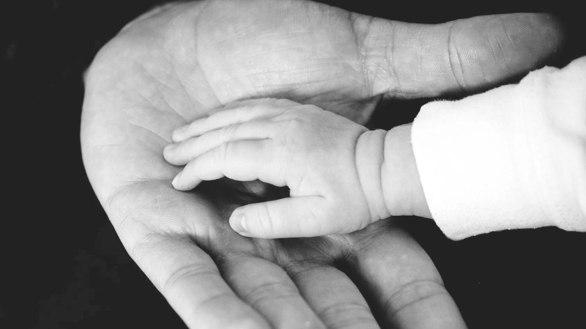 hands